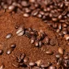 Why You Should Switch To Organic Coffee Beans In 2022 