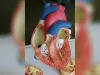 Home - Dr. Khedkar