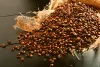 Best Whole Coffee Beans In 2021 - Best Decaf Coffee
