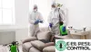 Best Genuine Services of Pest Control in Bangalore