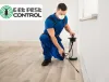 Most Genuine Pest Control Services in Pune at Low Charges