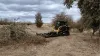 Land Clearing in Launceston, Deloraine &amp; Devonport