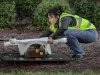 UPS establishes new subsidiary for drone delivery service | Logistics