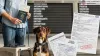 usa-passport-application-how-to-get-a-us-pet-passport-in-2025-expert-guide-and-tips.jpg