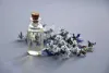 10 Different Uses of Essential Oils at Home and Their Benefits | GuestCanPost