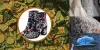 Online Custom Digitized Embroidery Service | Cre8iveSkill