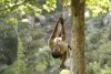 Adventure Activities in Rishikesh at affordable price