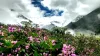 Valley of Flowers Trek | Itinerary, Difficulty &amp; Best time