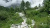 Valley of Flowers Tour Packages Uttarakhand