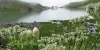 Valley of Flowers Tour Packages Uttarakhand