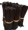 High Quality Vanilla Beans Find Online