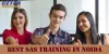 Best SAS Training Institute In Noida| SAS Training Course In Delhi 