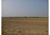 Commercial Property Land For Sale at Panchi, Dholera Smart City, Ahmedabad, 80762 ft²