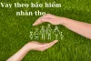 Top 4+ Vay Theo Bảo Hiểm Nhân Thọ Lãi Suất Tốt &amp; Thủ Tục Đơn Giản