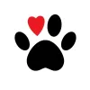 Online Accessories for Dogs & Cats