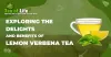 Lemon Verbena Tea: Pure Leaves for a Refreshing Flavour | Pregnancy Safe