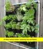 vertical garden 