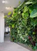 Reasons Why Artificial Vertical Wall Garden Are Becoming Popular