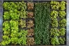 How to Create Your Own Vertical Garden Easily and Quickly?