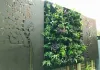Vertical Garden Melbourne | GardenMore