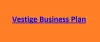 Vestige Business Plan