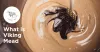 What is Viking Mead? How to make a Viking Mead? Shop the Online Mead Store &mdash; Best Mead BreweryNearby | Buy Mead Online | Cider and Mead 