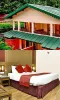 New Year Packages in Nainital , New Year Party in Nainital