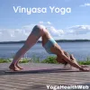  Vinyasa Yoga Poses And Various Steps