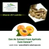 Vitamin B17 Treatment For Bone Cancer Patients