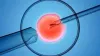 Best IVF Center in Mumbai | Dr Ankita's Fertility Center 