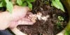 Growing Environmental Concerns Would Trigger Water-Soluble Fertilizers Market Growth