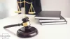 Importance of a Civil Litigation Attorney: Identifying Common Lawsuits &amp; Responsibilities - Volunteer Law Firm