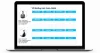 VP Email List