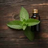 Best peppermint oil exporters in India.