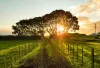 Wadhwa Heirloom Land -Plots Panvel in Navi Mumbai