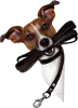Dog Walking Services | Pet Walking Services | Dog Walkers - Petsfolio