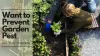 Want to Prevent Garden from Pest: This Is How to Do it