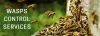 Pest Control Melbourne | 1300660487 | Real Pest Control