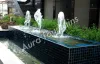 Top 4 Swimming Pool and Fountain Manufacturers in India - Aura Fountains