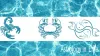 Water Zodiac Signs | Symbol- Compatibility- Personality Traits- Challenges