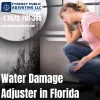 Florida Water Damage Claims Adjuster