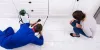 What Beg Bugs Want And What Do They Get From Bed Bug Exterminator Markham Services? - HMG Pest Control INC