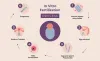 IVF Treatment in Delhi