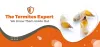 Best Pest Control in Singapore - iPest Management