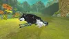 Wolf quest