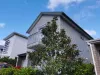 House Painters North Shore Auckland