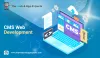 CMS Web Development in USA 