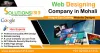 Web Designing Company in Mohali | Dial +91 9216041313