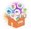 DHARIZ: Web Development Company in Chennai | Website Development Services