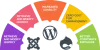   	Custom Website Development Services in Kalkaji, New Delhi, Web Development Company India    